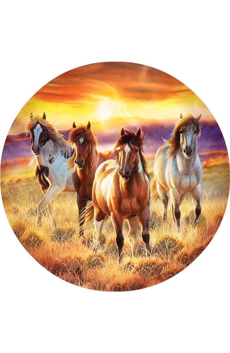 Sunsout Running in the sun 500 piece Jigsaw Puzzle for Adults Round, Alternate, color, Multicolor