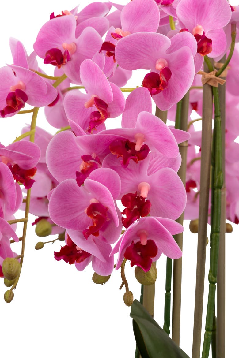 Brianna RealTouch Orchid Arrangement, Alternate, color, Periwinkle