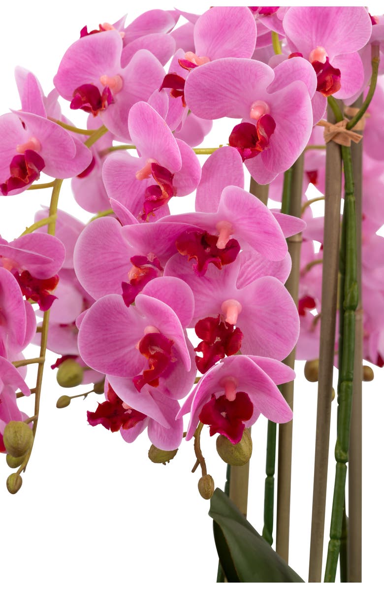 CocoBella Brianna RealTouch Orchid Arrangement, Alternate, color, Periwinkle