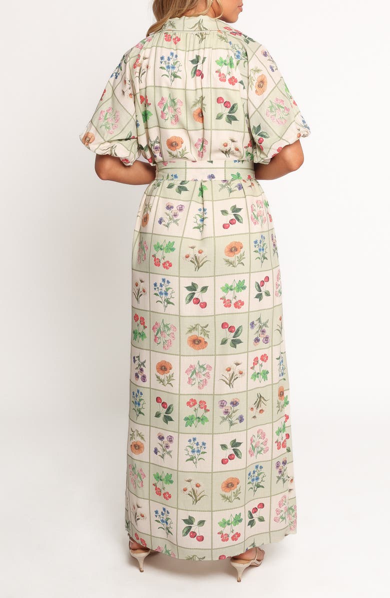 Petal & Pup James Print Tie Waist Maxi Dress, Alternate, color,