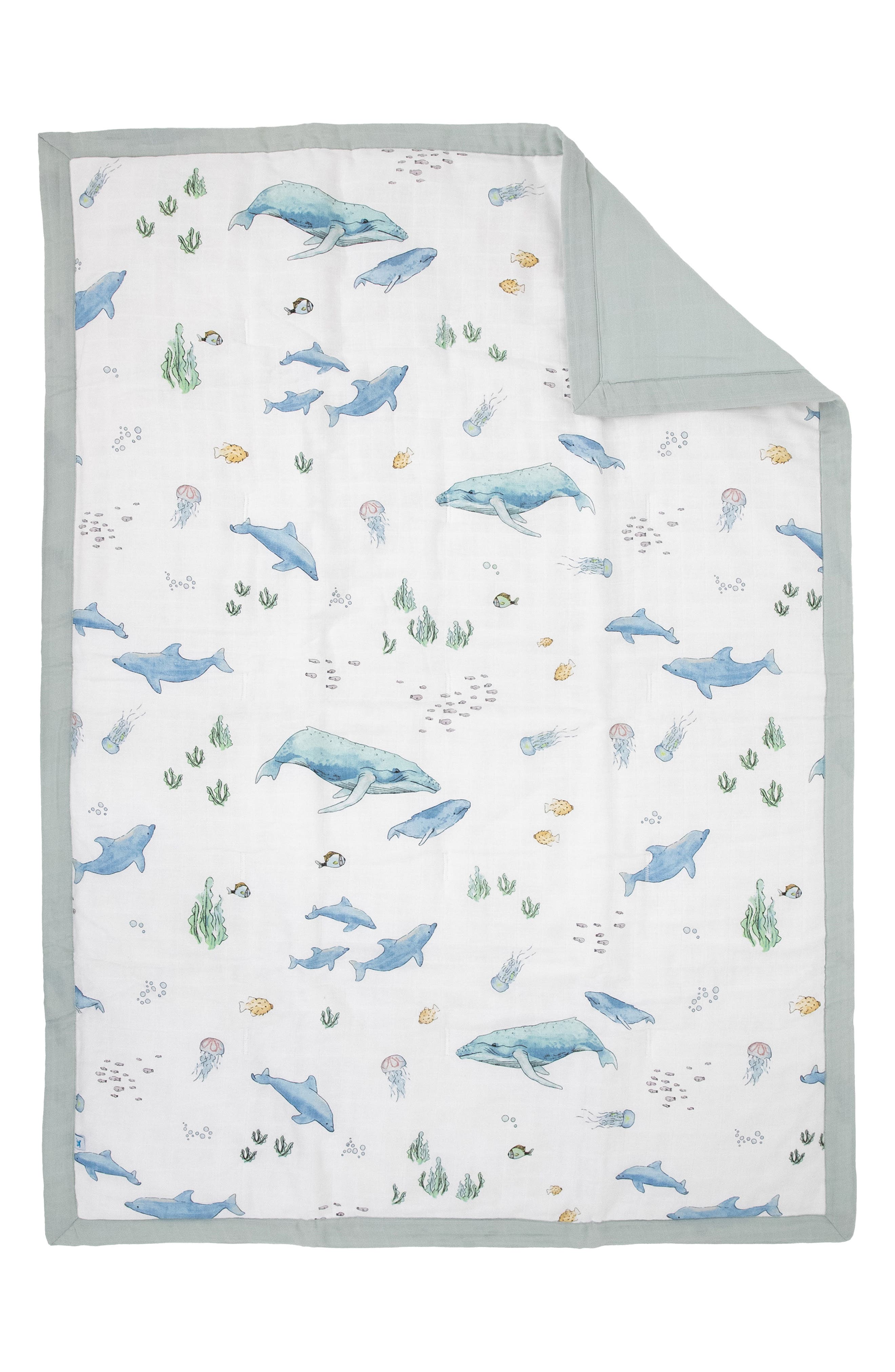 WHALES