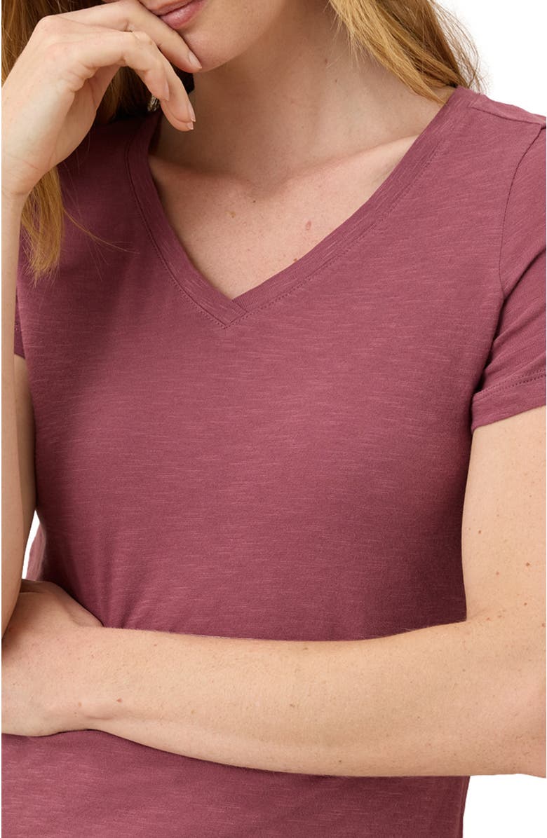 Pact Organic Cotton Featherweight Slub V-Neck Tee, Alternate, color, Mauve