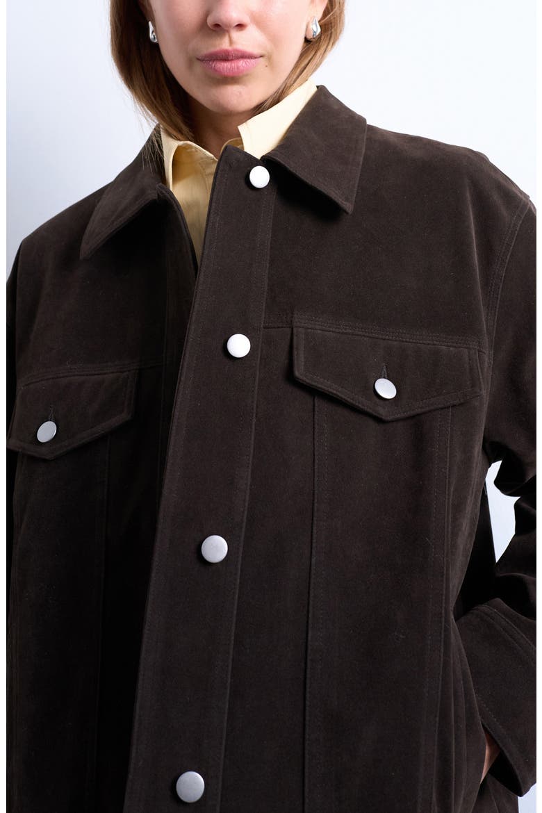 Western Faux Suede Jacket, Alternate, color, BROWN