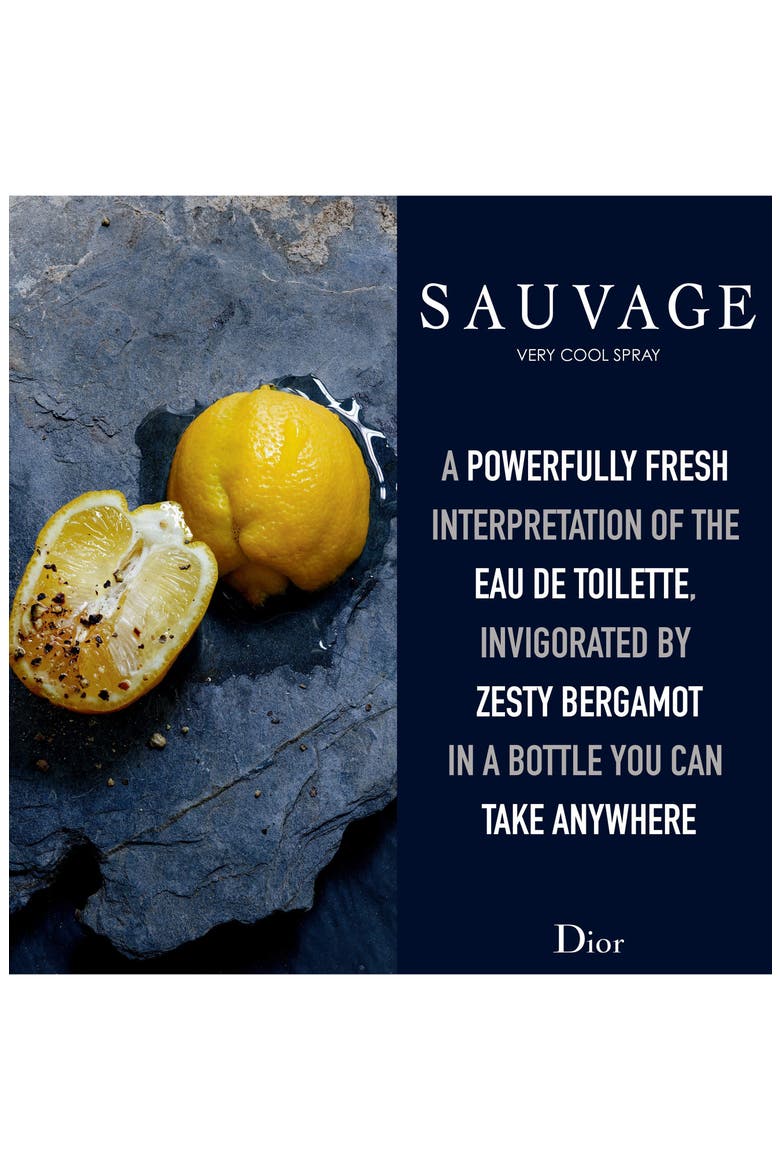 Sauvage Very Cool Spray Fresh Eau de Toilette, Alternate, color, NO COLOR