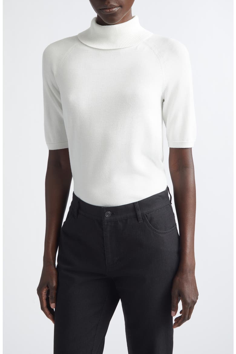 Raglan Sleeve Turtleneck Sweater, Main, color, CLOUD