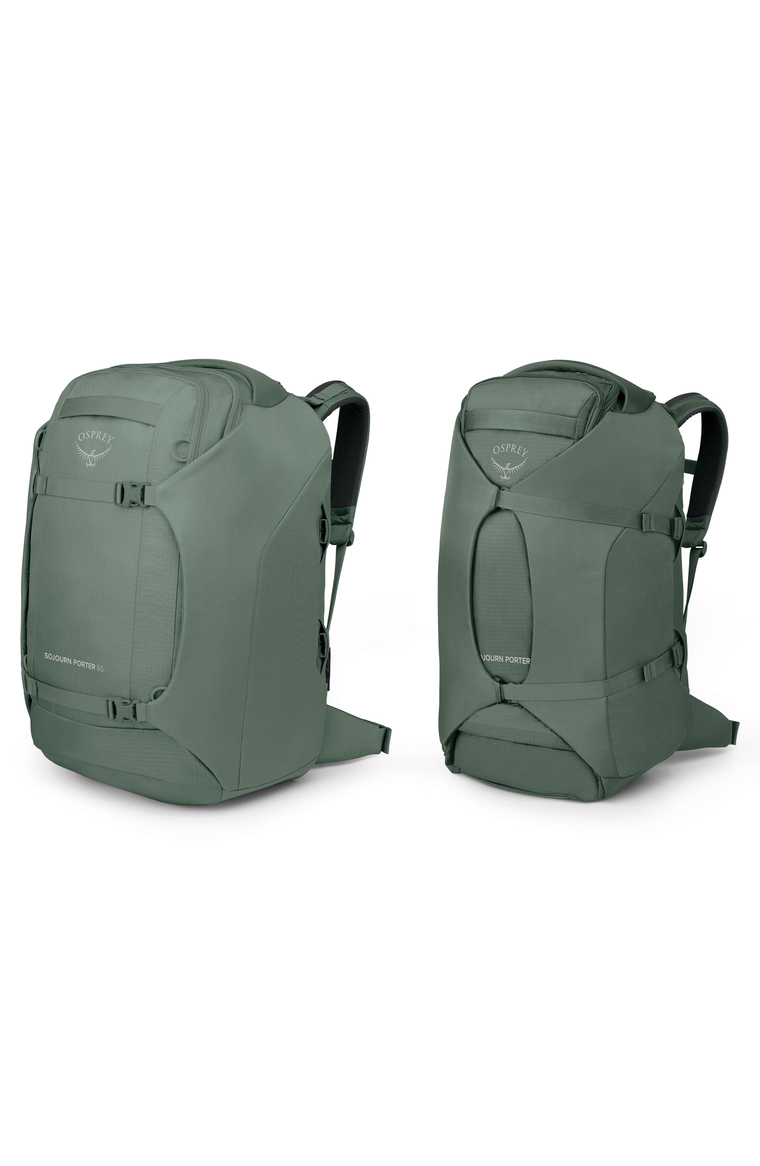 Sojourn Porter 65-Liter Travel Backpack, Alternate, color, KOSERET GREEN