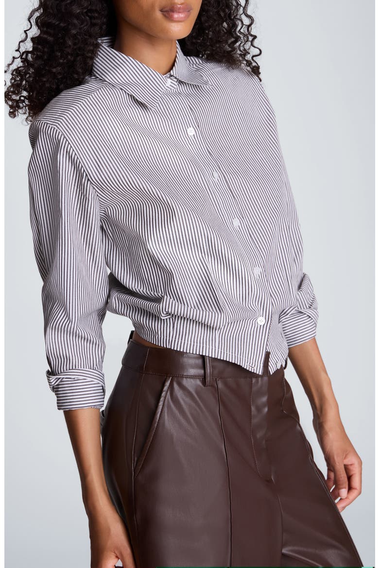 Striped Cropped Cotton Button Down Shirt, Alternate, color, PURE WHITE/ MED. BARK