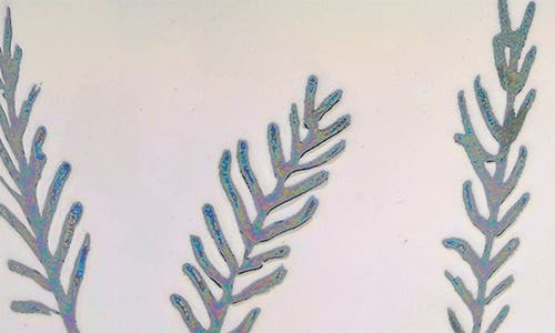 Paddywax Two Wick Fragrance Candle