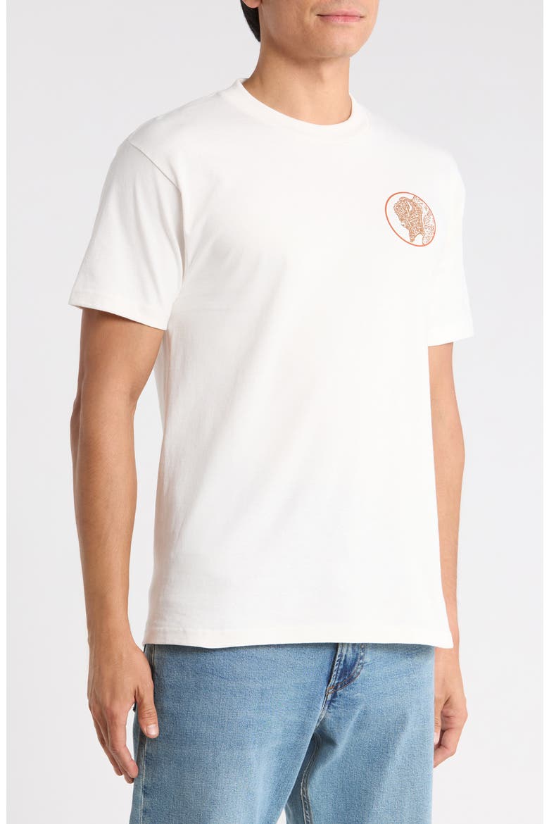 Bison Cotton Graphic T-Shirt, Alternate, color, VINTAGE WHITE