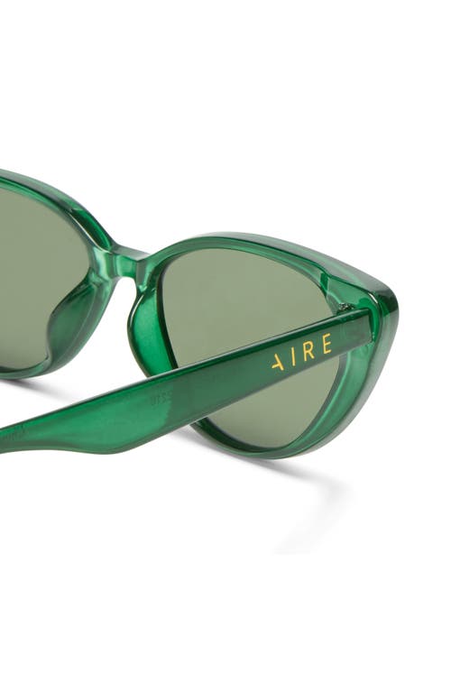Aire Amalthea 55mm Cat Eye Sunglasses In Emerald/green Mono
