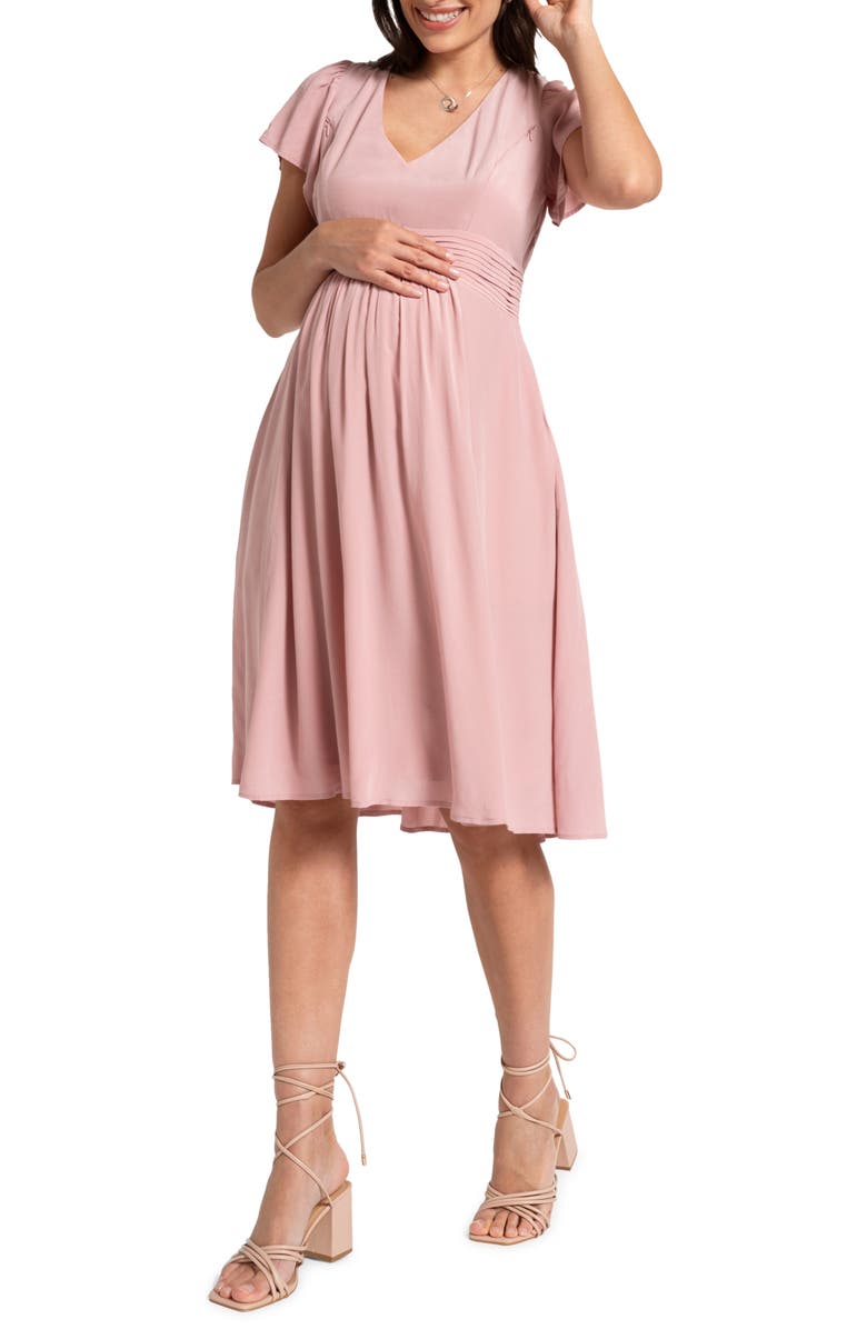 Seraphine Flutter Sleeve Maternity/Nursing Dress, Main, color, Blush