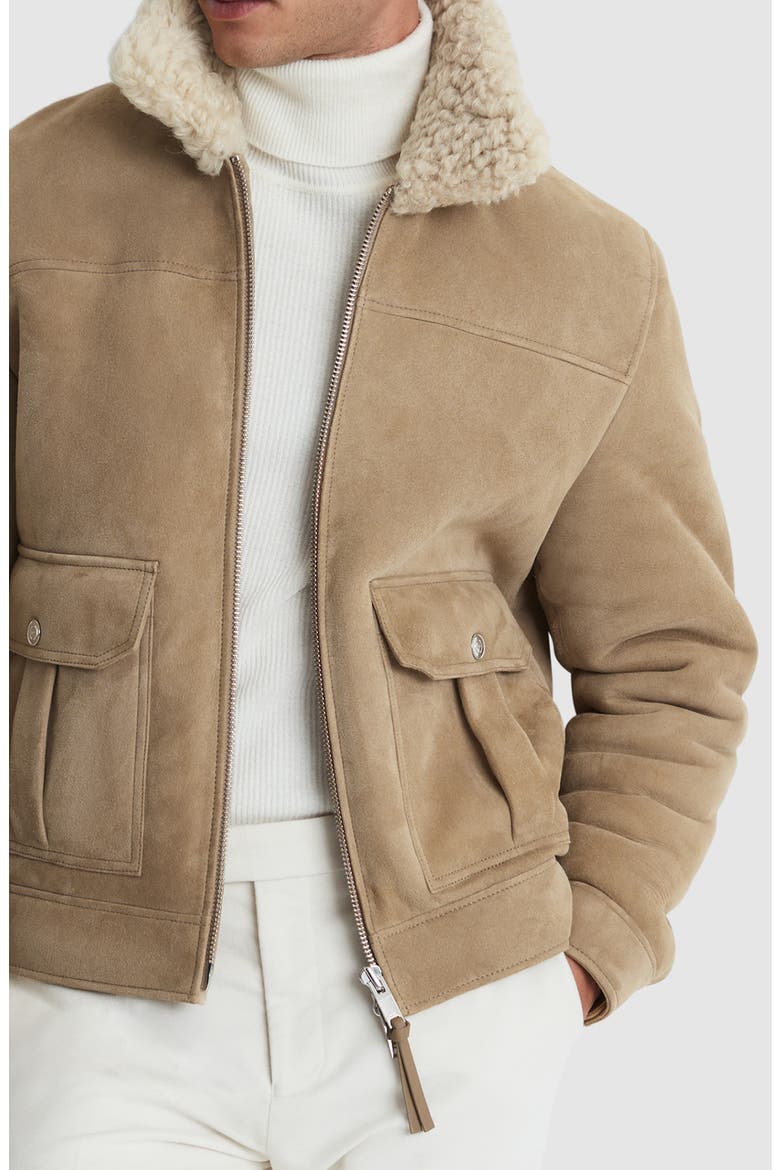Roseberry Genuine Shearling & Suede Jacket, Alternate, color, STONE
