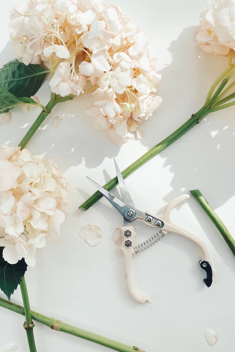Pruning Shears, Alternate, color, Vanilla