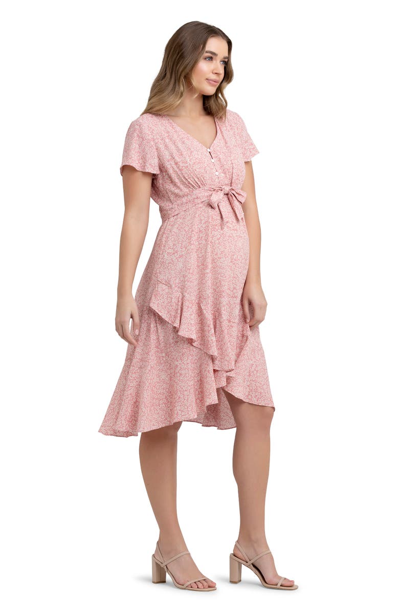 Ripe Maternity Vanessa Floral Print Maternity/Nursing Dress, Alternate, color, 