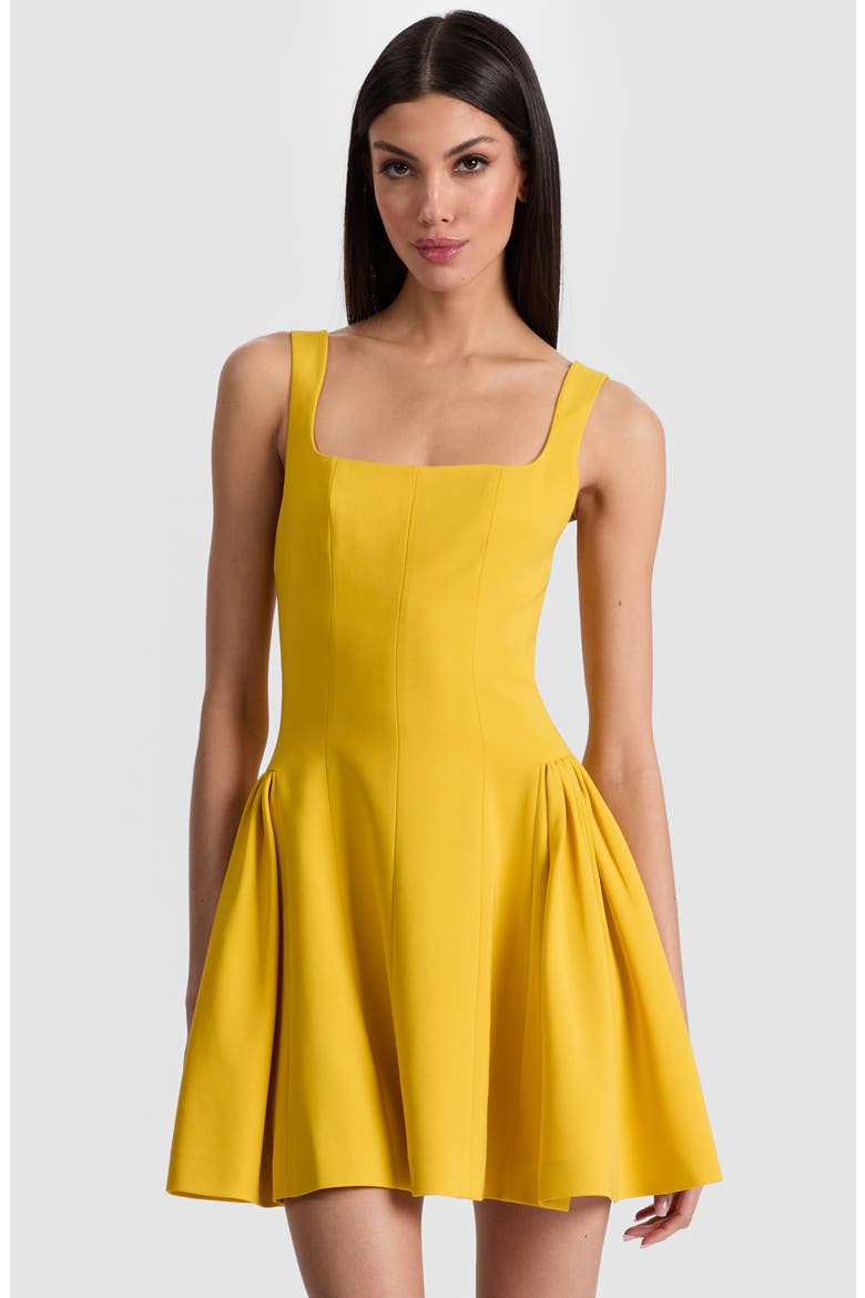 Vera Fit & Flare Minidress, Alternate, color, GOLDEN HOUR