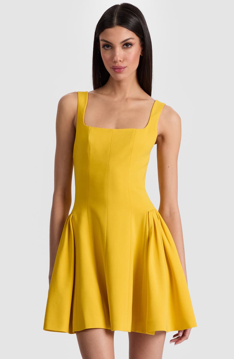 Alice + Olivia Vera Fit & Flare Minidress, Alternate, color,