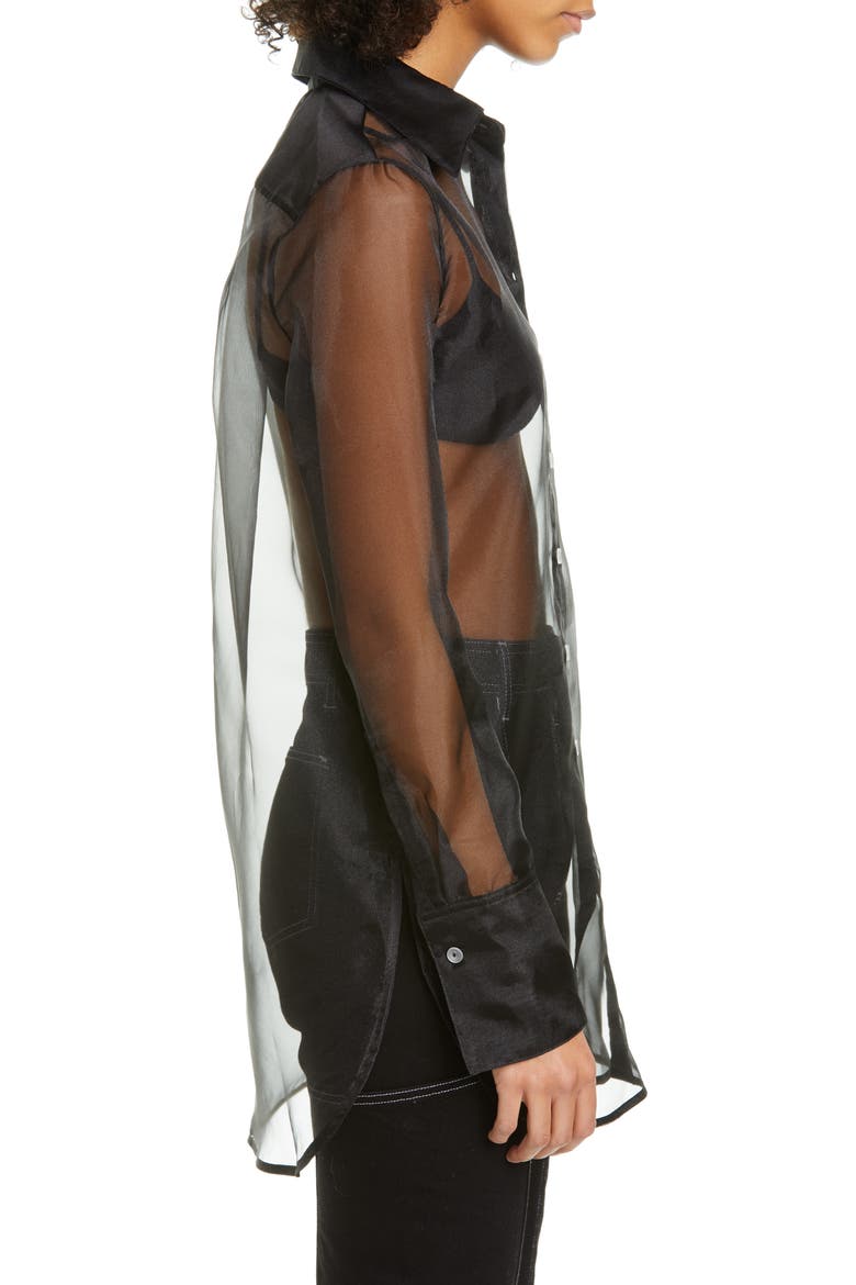 Rowena Sheer Long Sleeve Shirt, Alternate, color, BLACK