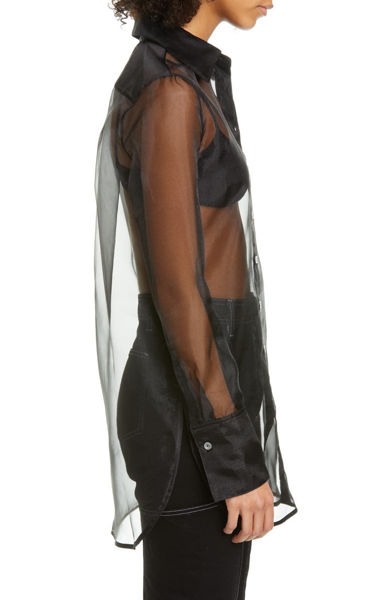 Simon Miller Rowena Sheer Long Sleeve Shirt, Alternate, color, 