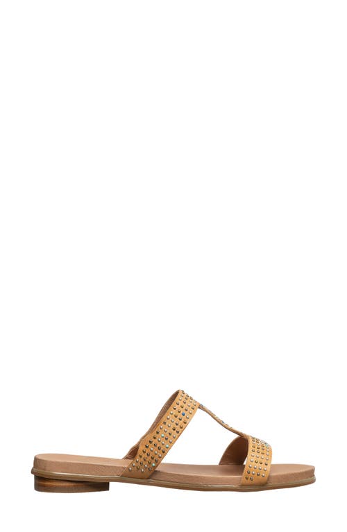Antelope Reegan Slide Sandal In Taupe