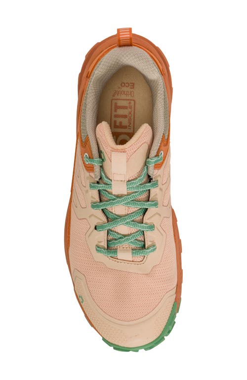 Oboz Katabatic Low Hiking Sneaker In Nectar