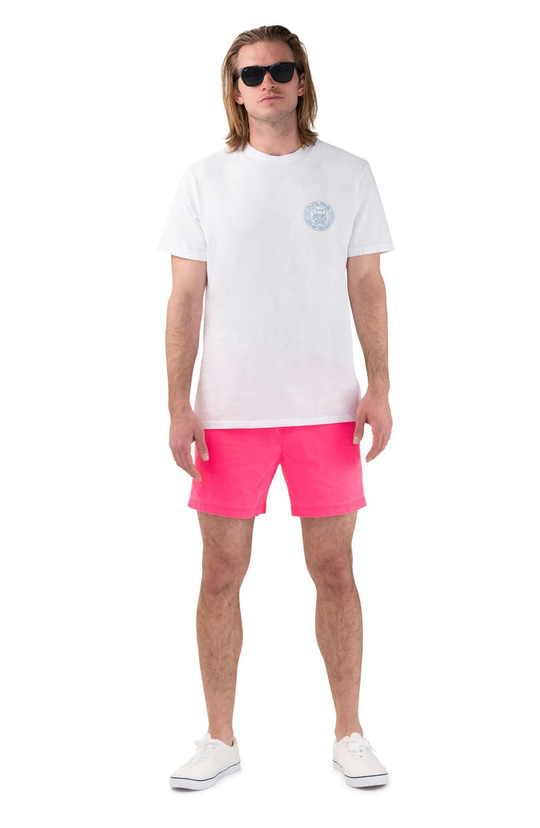 Party Pants Solid Vintage Volley Swim Shorts, Alternate, color, Pink