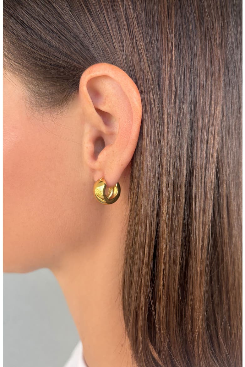 14K Gold Plated Chubby Hoop Earrings, Alternate, color, GOLD