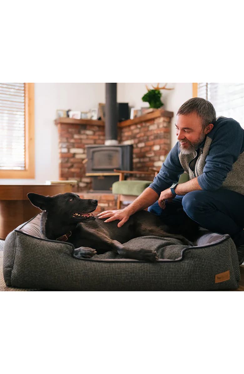 P.L.A.Y. Pet Lounge Bed, Small, Alternate, color, 