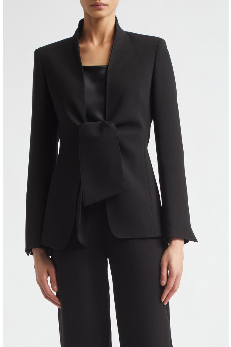 Palo Tie Front Cady Blazer, Main, color, BLACK