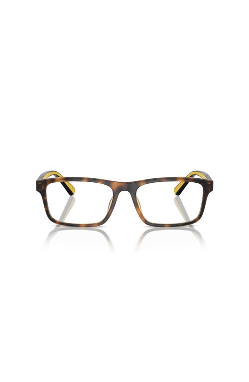 Polo Ralph Lauren 56mm Rectangle Optical Glasses In Multi