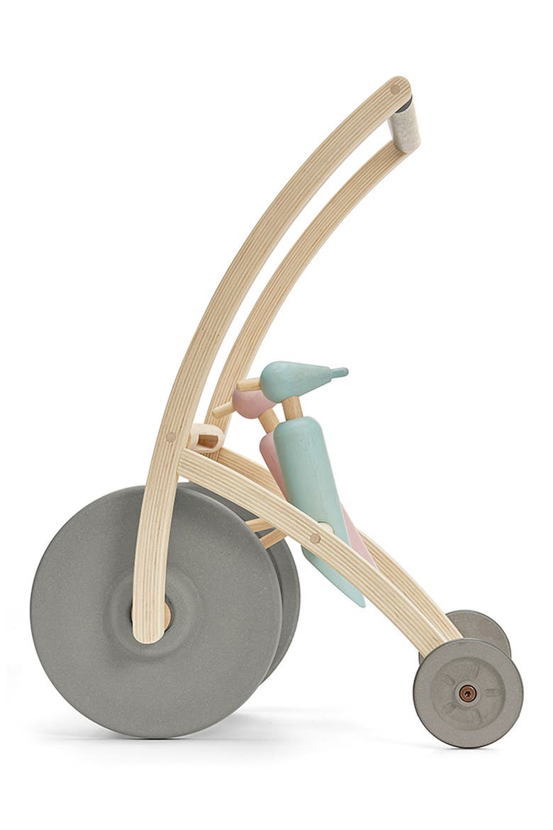 Woodpecker Walker, Alternate, color, ASSORTED