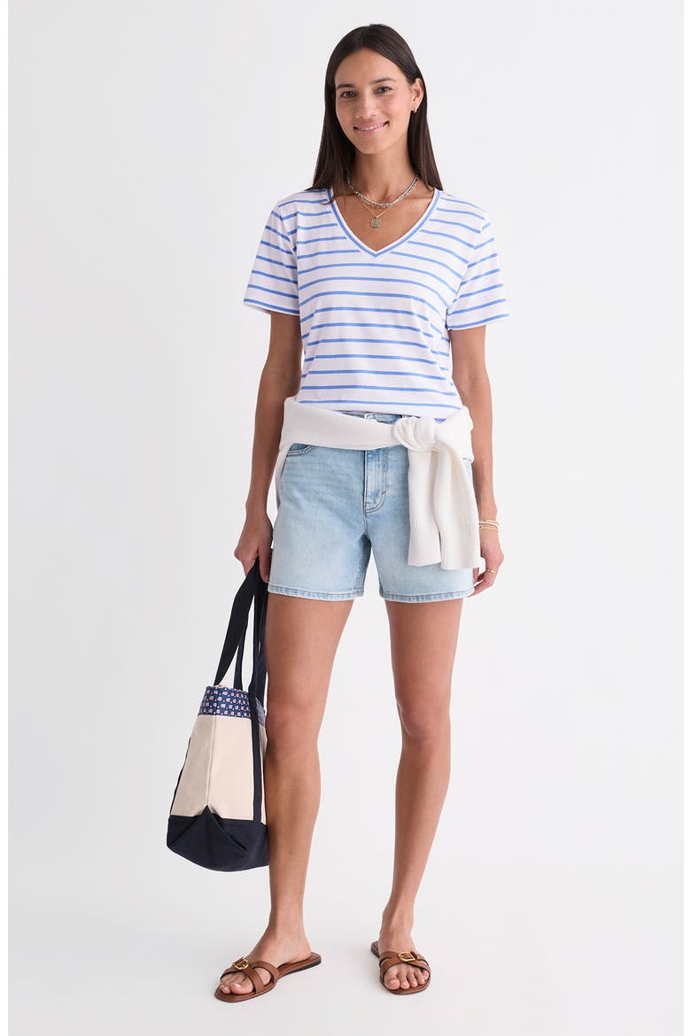V-Neck Cotton T-Shirt, Alternate, color, BREAKER BLUE STRIPE