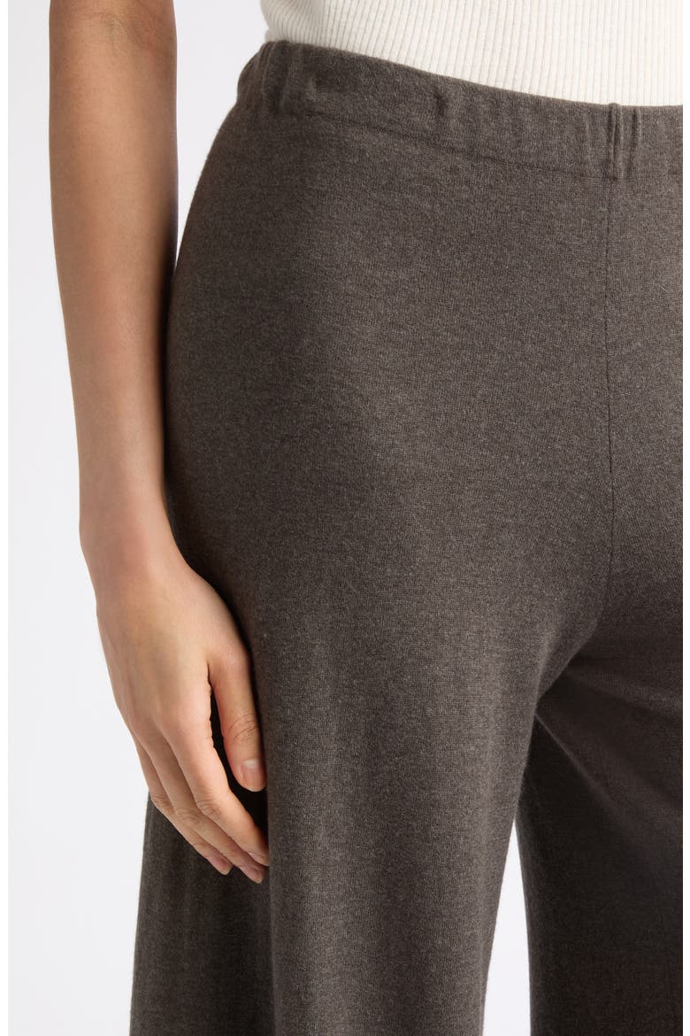 Ainsley Cotton & Cashmere Wide Leg Pants, Alternate, color, DEEP WALNUT