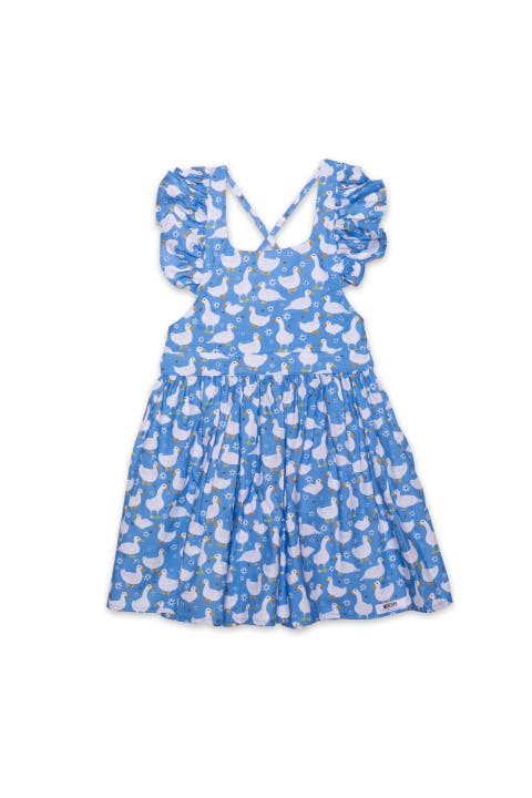 Girls Ruffle Sleeve Dress (Toddler, Little Kid & Big Kid)