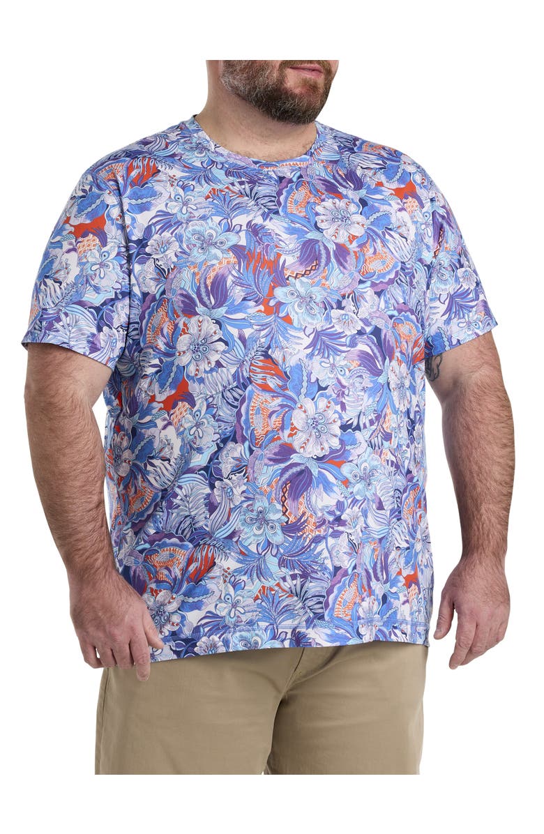 Robert Graham DXL Big & Tall Roxford Performance T-Shirt, Main, color, 