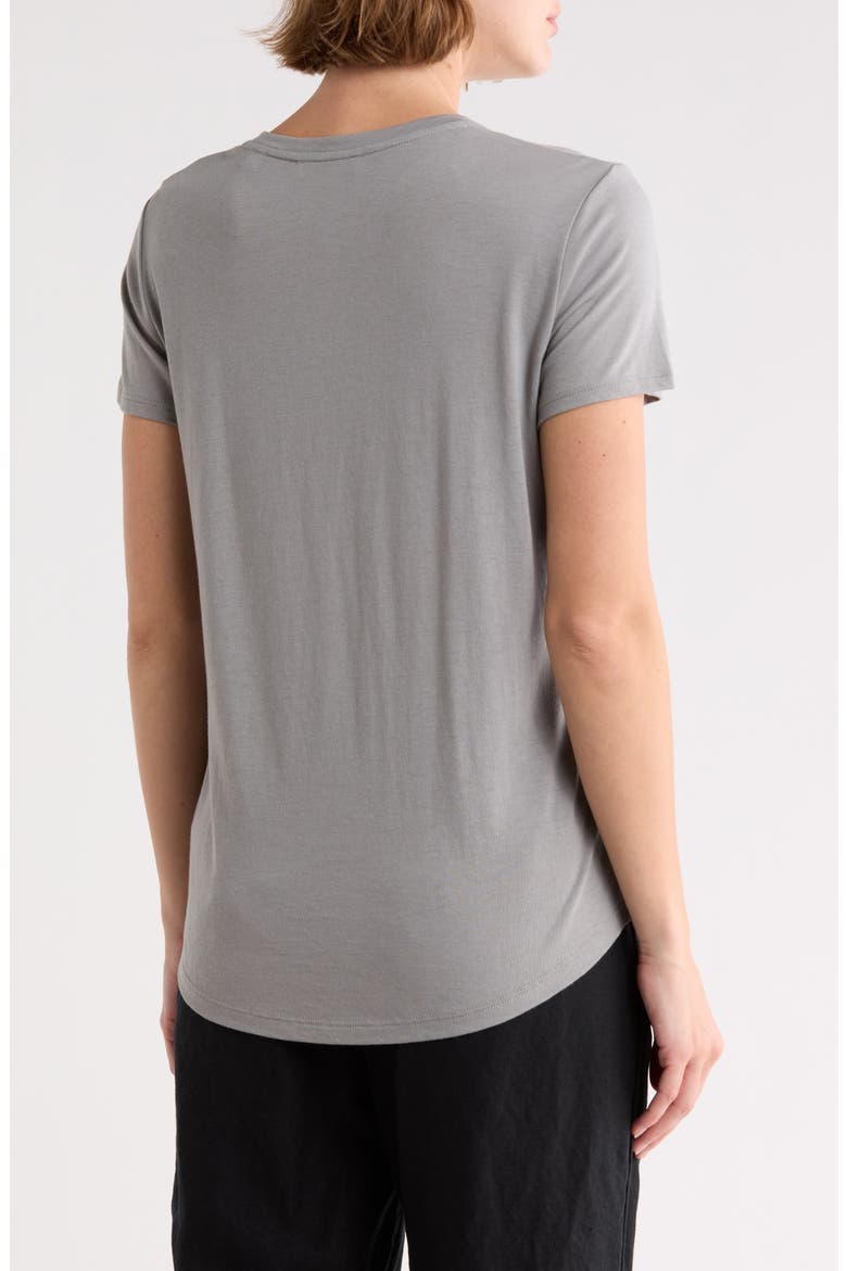 Crewneck Shirt Tail T-Shirt, Alternate, color, SEA STONE