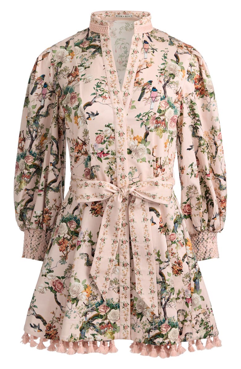Alice + Olivia Lucy Floral Print Tie Waist Minidress, Alternate, color, Sunset Grove English Rose