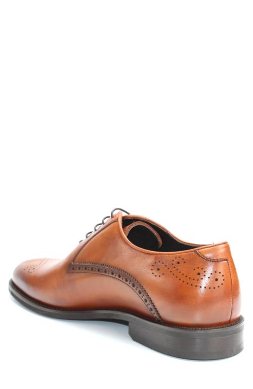 Vellapais Benito Brogue Oxford In Brown