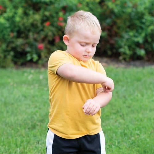 Donnamax Fun Shaped Bandages In Multi