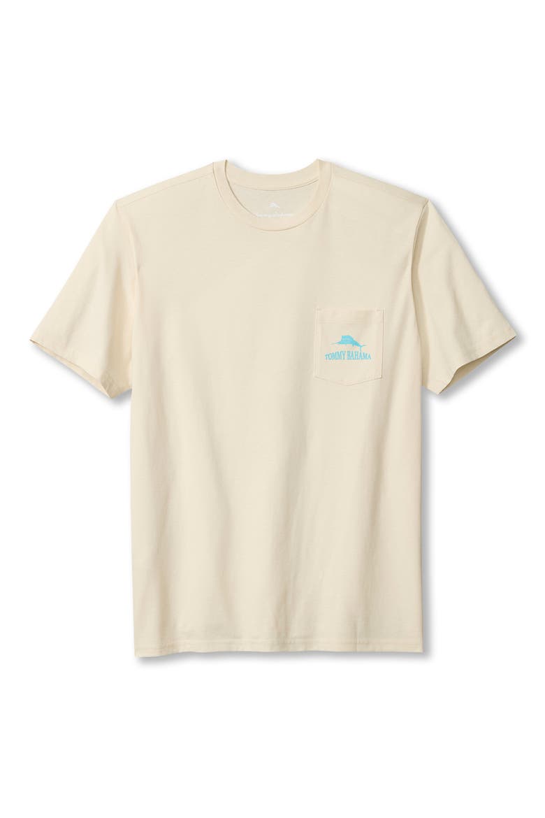 Big Stout Out Pocket Graphic T-Shirt, Main, color, VANILLA ICE