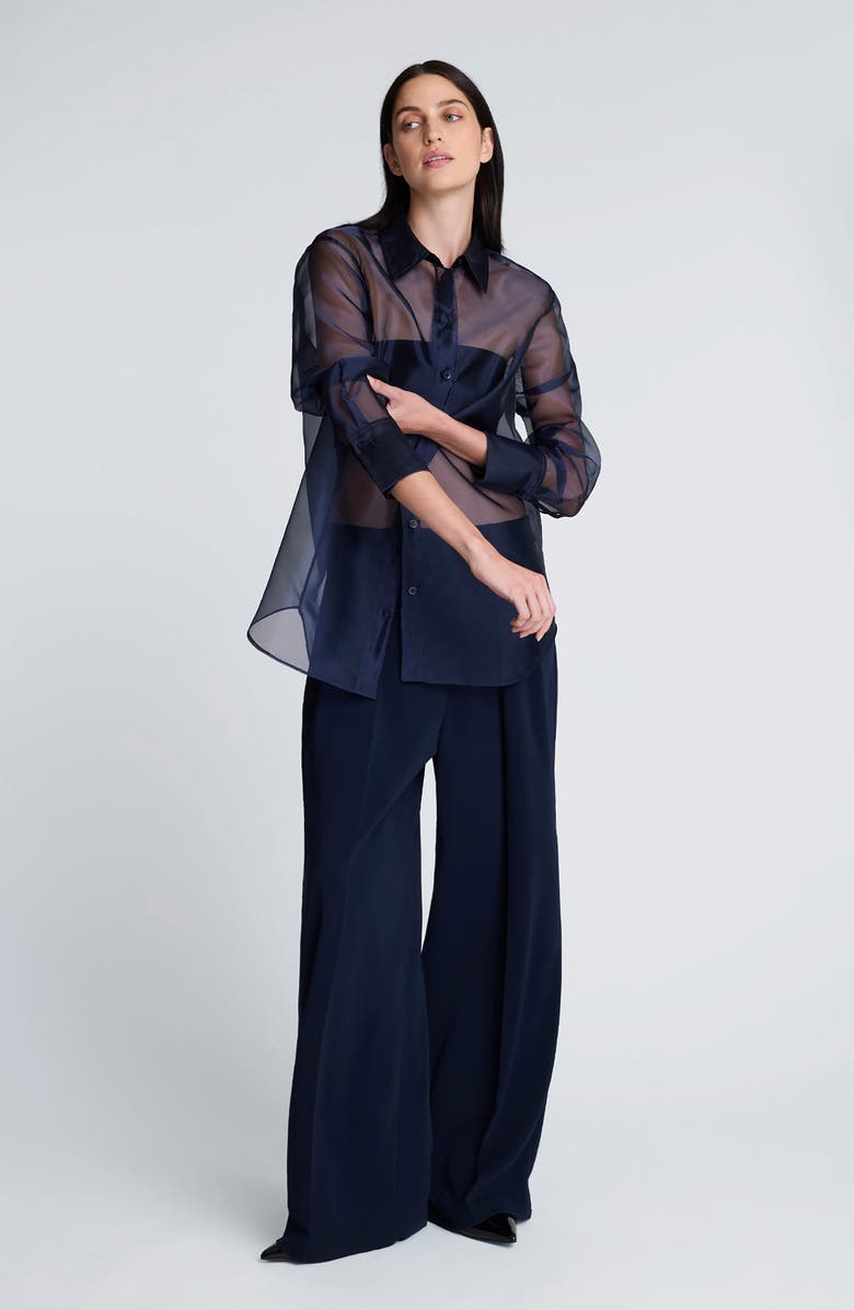 Kenneth Cole Oversize Sheer Organza Button-Up Shirt, Alternate, color,