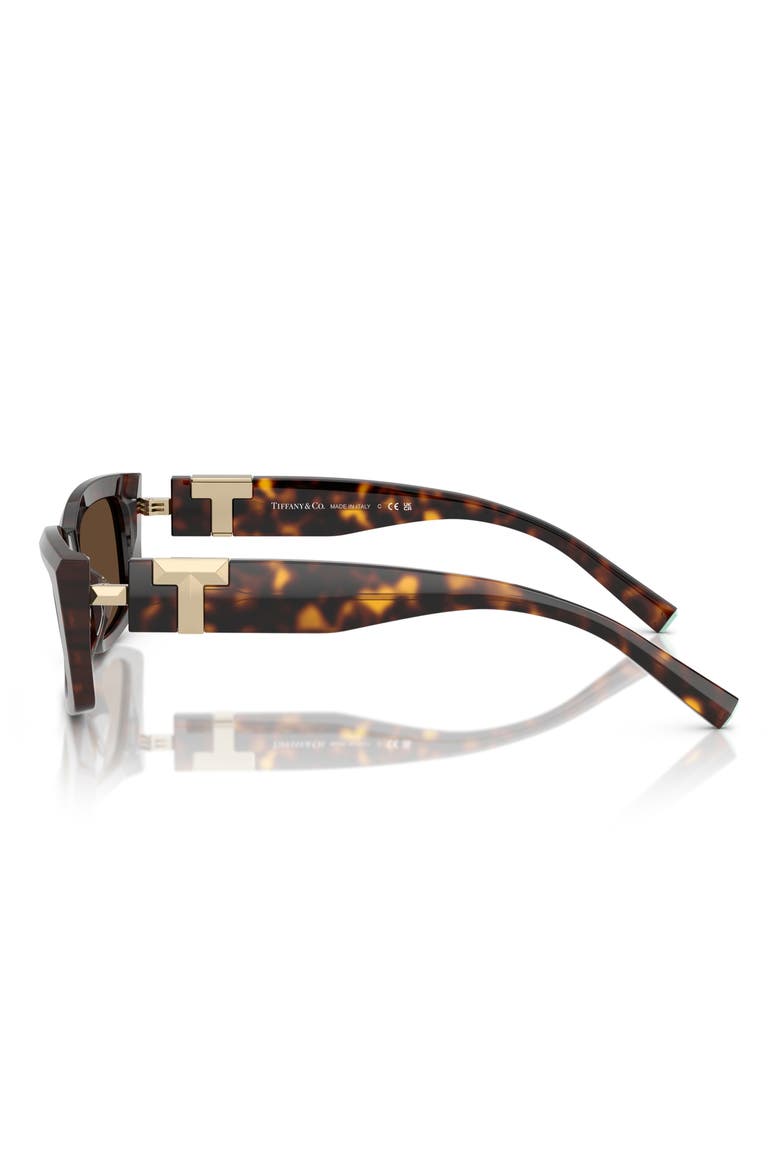 54mm Rectangular Sunglasses, Alternate, color, HAVANA / LIGHT BROWN