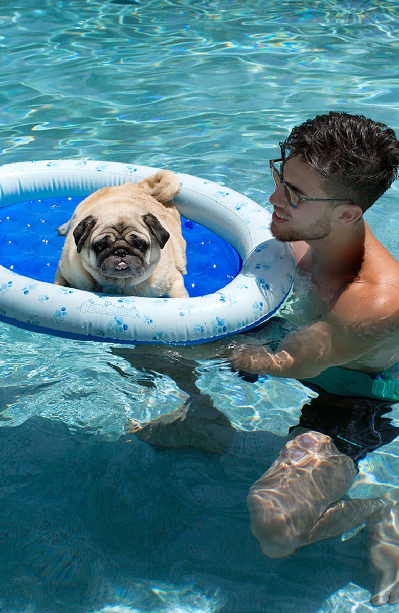 POOLCANDY Small Pet Pool Float, Alternate, color, Blue