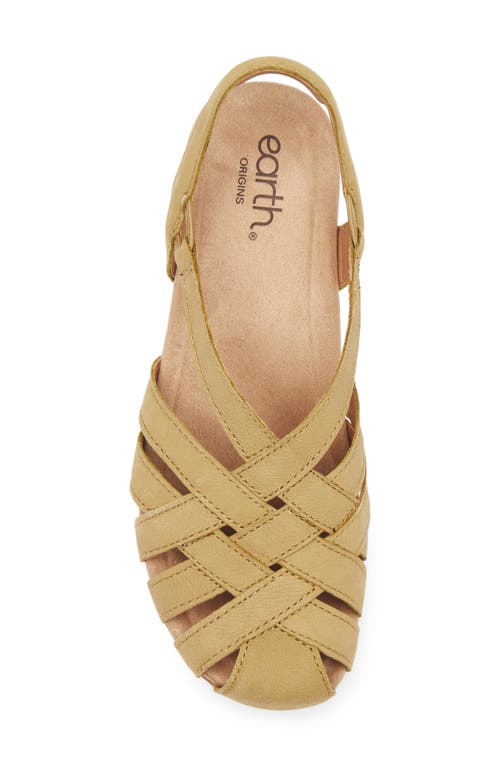 Earth ® Berri Slingback Sandal In Brown