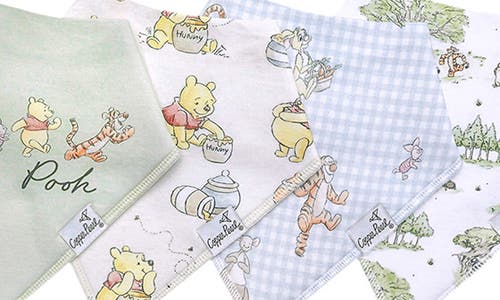 Copper Pearl Hundred Acre Wood Assorted 4-pack Bandana Bibs In White