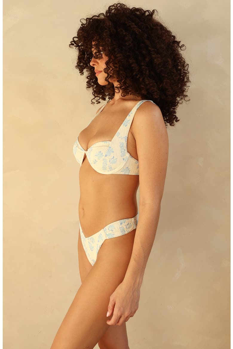 Eze Super Cheeky Bikini Bottom, Alternate, color, Hydrangea