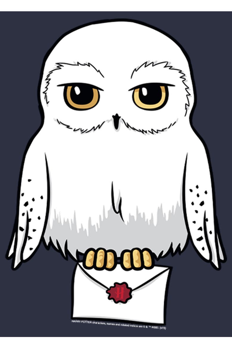 Women's Harry Potter Cartoon Hedwig Letter  Graphic T-Shirt, Alternate, color, Navy Blue