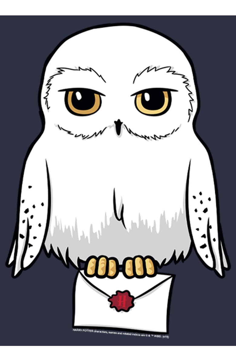 HARRY POTTER Women's Harry Potter Cartoon Hedwig Letter  Graphic T-Shirt, Alternate, color, Navy Blue