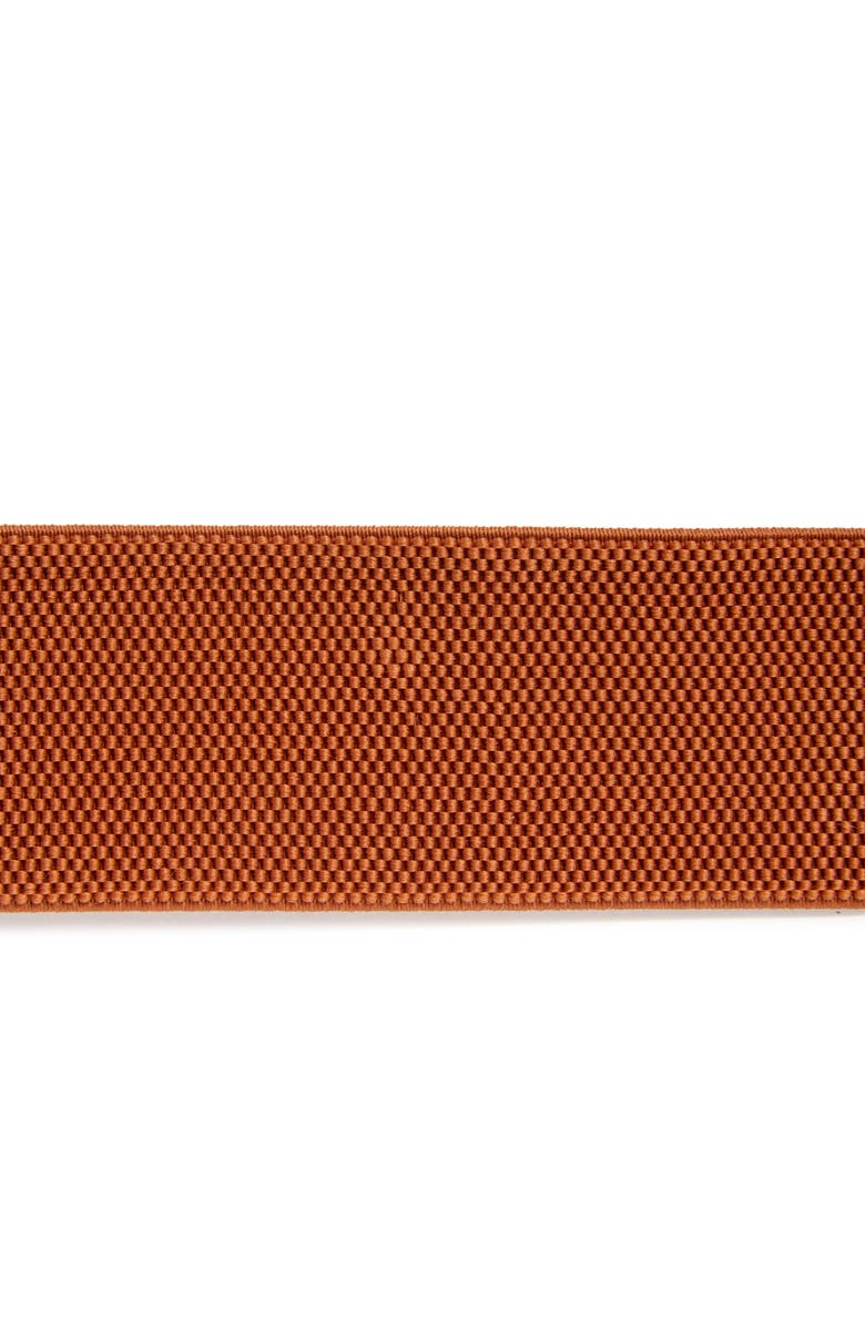 AREA STARS Blythe Buckle Stretch Woven Belt, Alternate, color, Brown