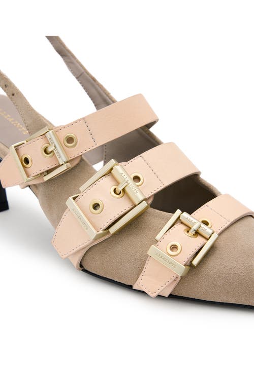 Allsaints Vivian Slingback Pointed Toe Pump In Sand Brown