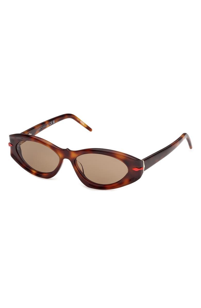 Christian Louboutin 55mm Cat Eye Sunglasses, Alternate, color, Classic Havana / Gold / Zeiss